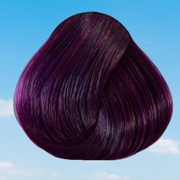 DIRECTIONS plum 100 ml - Image 3