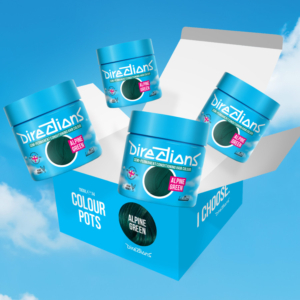 DIRECTIONS alpine green 100 ml (4x)